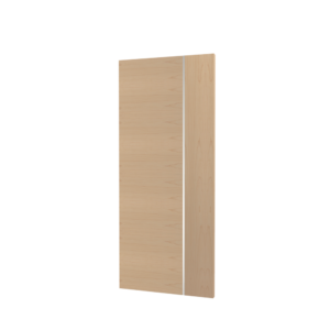 Door P DT025 Infill MT001